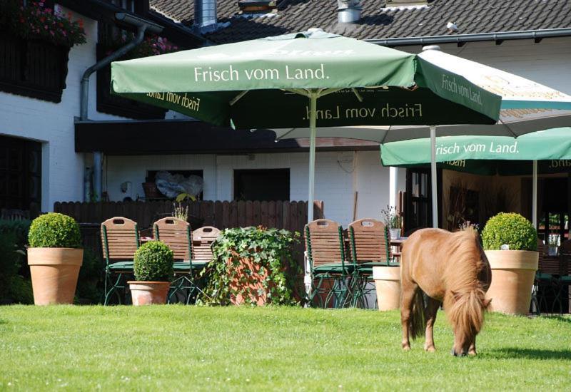 Landhotel Linden Am Venekotensee Niederkrüchten Exterior foto